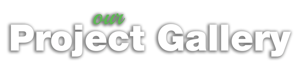 Project_gallergy_header-text-capt